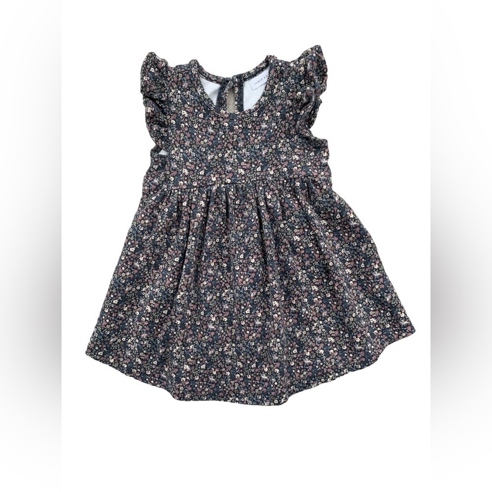 Jamie Kay Size 1 Year Organic Ada Dress in Winter Beauty